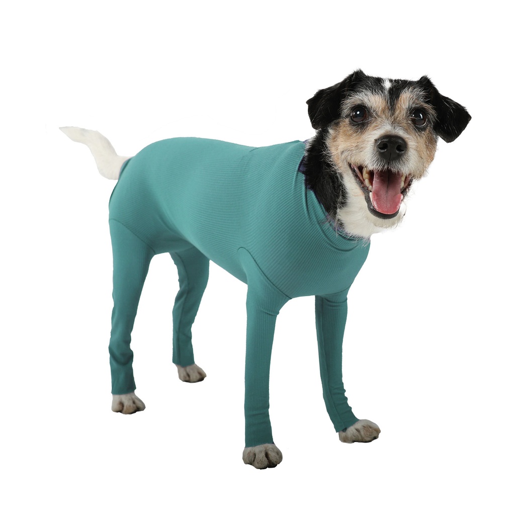 Bodystocking med ben til hund, VetMedCare